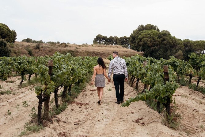 Private Breakfast Winery Experience - Private Wine Tasting Tour - Tasting five organic wines from Alella