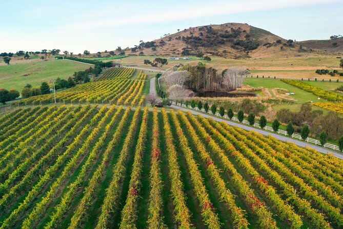 Private Canberra Winery Tour with lunch - Price, private transport, and overall value