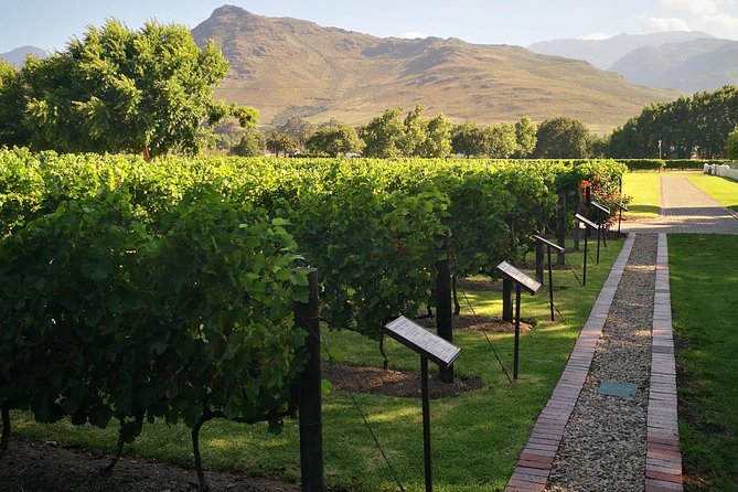 Private Cape Winelands Ful Day Ultra Flexible Guided Tour. - Key points to know before booking