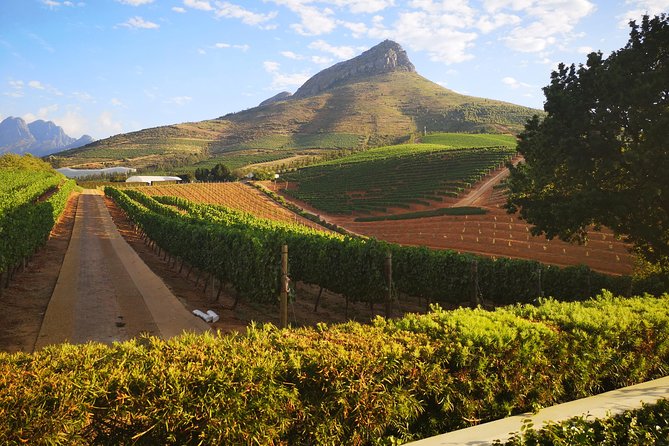 Private Cape Winelands Ful Day Ultra Flexible Guided Tour. - A private day through three wine towns