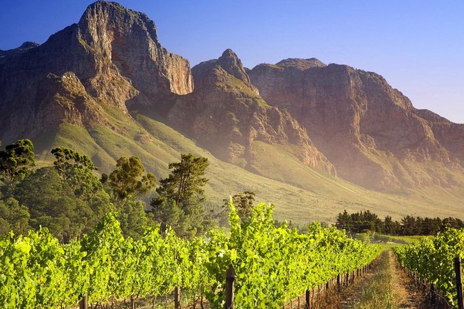 Private Cape Winelands Guided Full Day Tour from Cape Town - Roca Restaurant brings a mountain-view lunch break