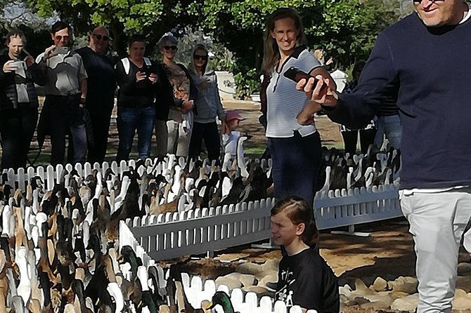 Private Cape Winelands Guided Full Day Tour from Cape Town - What the private vehicle changes