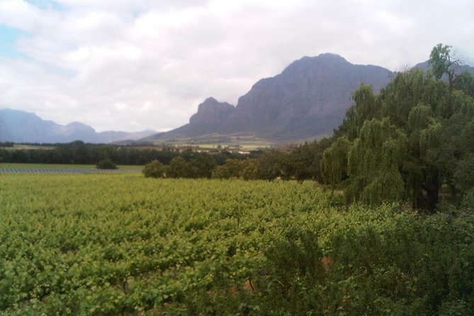 Private Cape Winelands Tour from Cape Town - Key points to know before booking