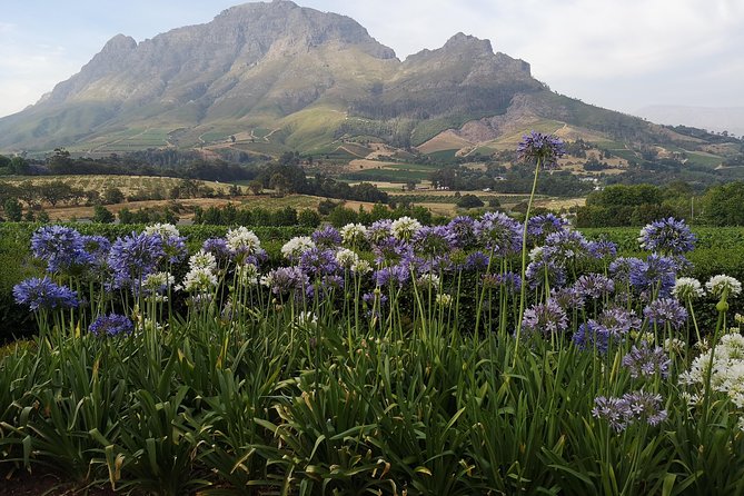 Private Cape Winelands Tour from Cape Town - Franschhoek Pass and the valley views