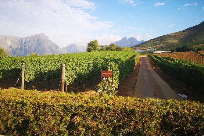 Private Cape Winelands Tour from Cape Town - Wine estates around Franschhoek