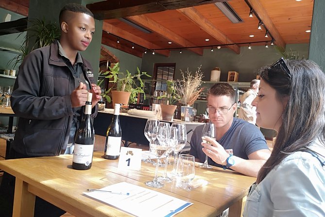 Private Cape Winelands Tour from Cape Town - Paarl’s streets, Afrikaans monument, and Mandela connection