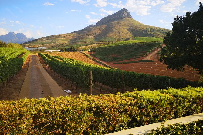 Private Cape Winelands Tour from Cape Town - How the private format affects value