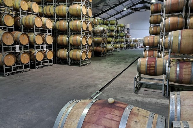 Private Cape Winelands Tour from Cape Town - Timing, drinking, and practical planning