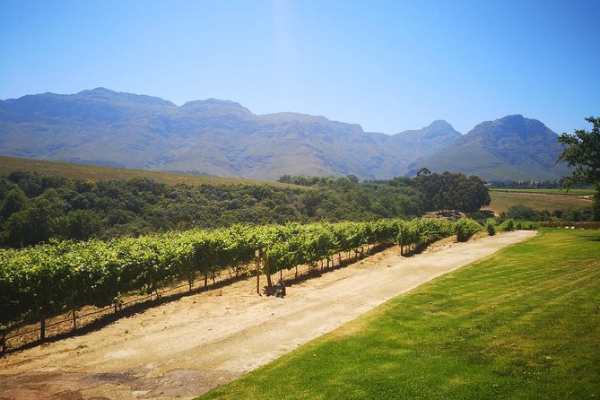 Private Cape Winelands Tour from Cape Town - Five wines and the story of pinotage
