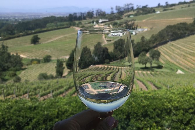 Private Cape Winelands Wine Tasting Tour - Stellenbosch finishes with chocolate