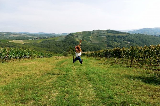 Private Chianti and SuperTuscan Tour 2 wineries with Light Lunch from Livorno - From Livorno’s port to the Chianti hills