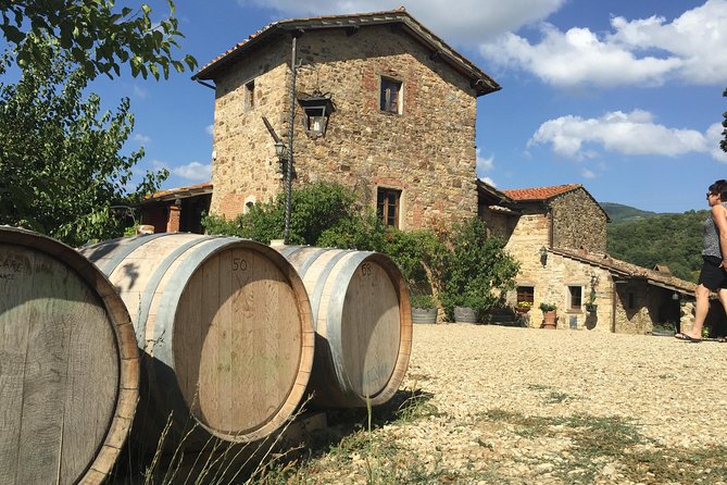 Private Chianti and SuperTuscan Tour 2 wineries with Light Lunch from Livorno - What the guides add to the day