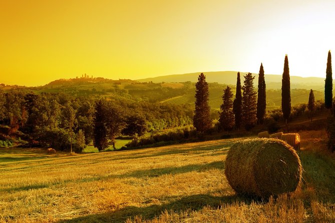 Private Chianti and SuperTuscan Tour 2 wineries with Light Lunch from Livorno - Is seven hours enough for Chianti?