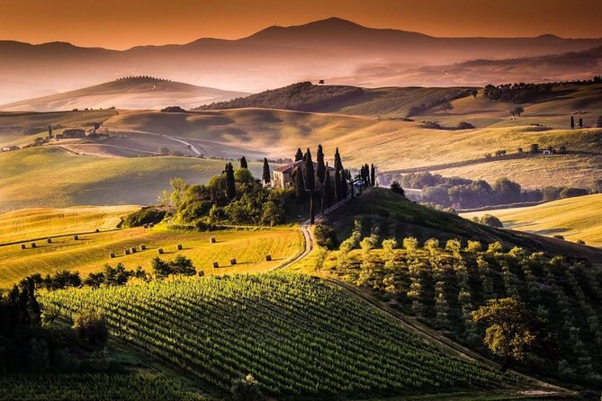 Private Chianti and SuperTuscan Tour 2 wineries with Light Lunch from Livorno - Who will enjoy this private Chianti day?