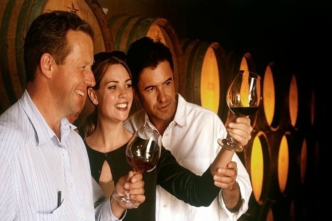 Private Chianti and SuperTuscan Tour 2 wineries with Light Lunch from Livorno - First winery: a strong introduction to Chianti wine