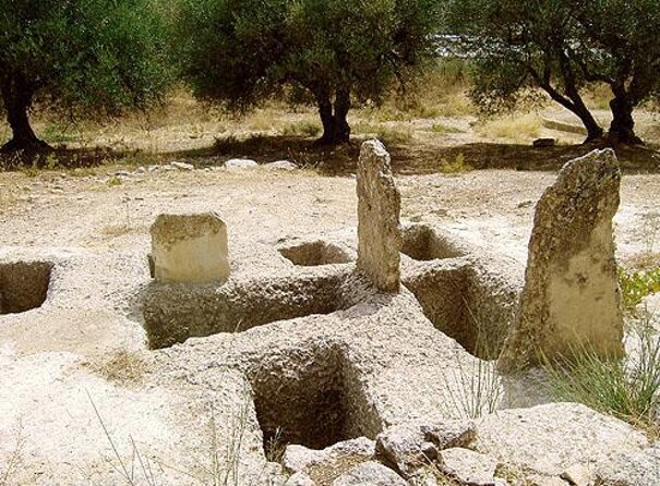 Private Cretan Gastronomic experience Winery visit with Tastings & Cooking Class - Key points to know before booking