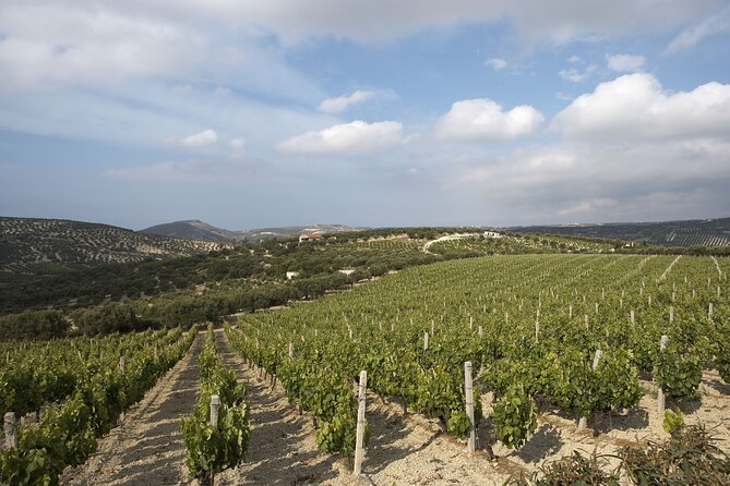 Private Cretan Gastronomic experience Winery visit with Tastings & Cooking Class - Why this makes a good Cretan food day