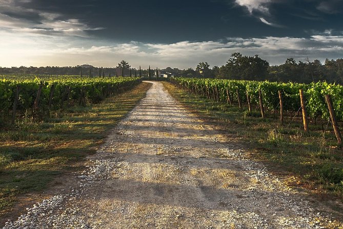 Private Customizable Niagara Falls Winery Tour from Buffalo NY - Thirty minutes in the Niagara-on-the-Lake Heritage District