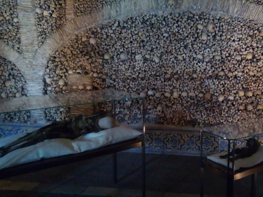 Private day tour to Évora: cork, factory, winery & the city - A taste of Alentejo at Ervideira
