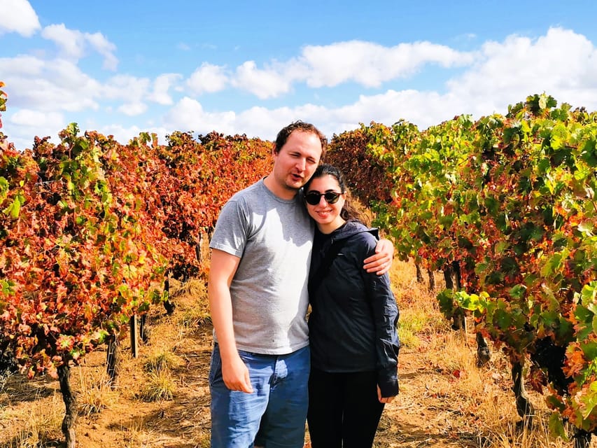 Private day tour to Évora: cork, factory, winery & the city - The return across the 25 de Abril Bridge