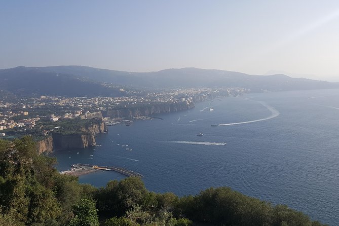 Private day tour to Pompei ,winery, Sorrento from Napoli/Salerno/Amalfi/Positano - Key points at a glance