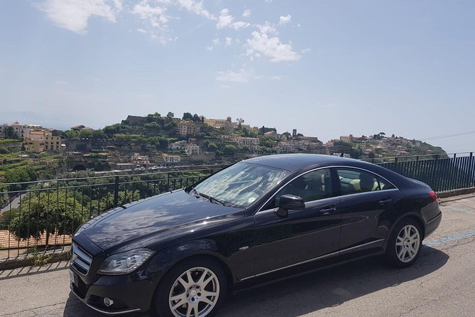 Private day tour to Pompei ,winery, Sorrento from Napoli/Salerno/Amalfi/Positano - What the private format is really worth