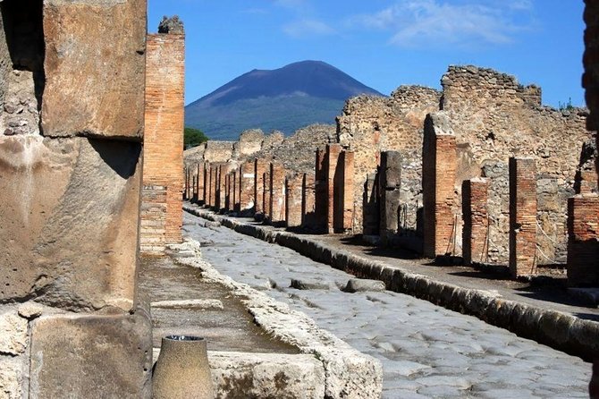Private day tour to Pompei ,winery, Sorrento from Napoli/Salerno/Amalfi/Positano - The drivers and guides shape the day