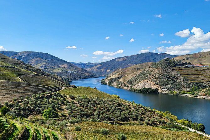 Private Douro Valley Tour (2 wineries + boat) - Why the Douro works best as a private day