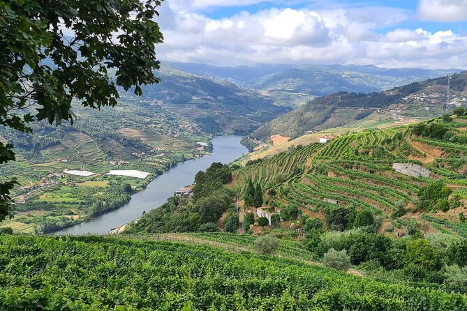 Private Douro Valley Tour (2 wineries + boat) - Lunch in Peso da Régua, with the decision left to you