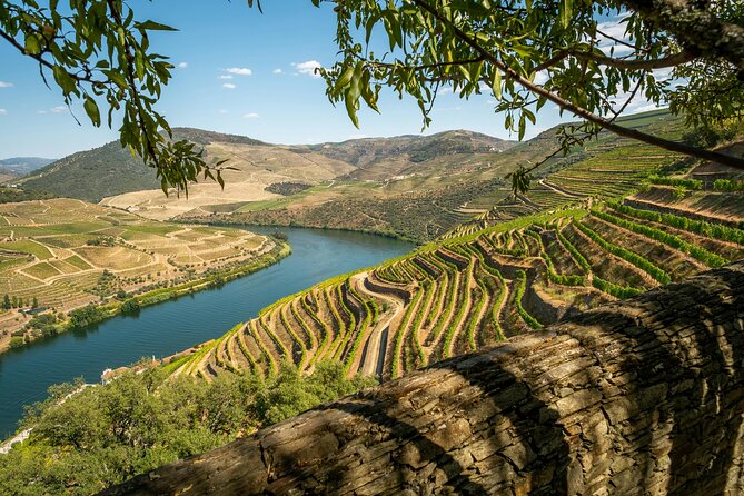 Private Douro Valley Tour: Boutique Winery & River Cruise - Key points at a glance
