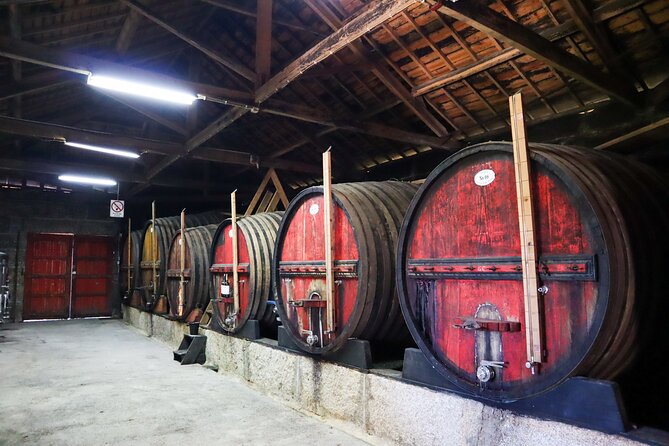 Private Douro Valley Tour: Boutique Winery & River Cruise - A one-hour cruise on the Douro River