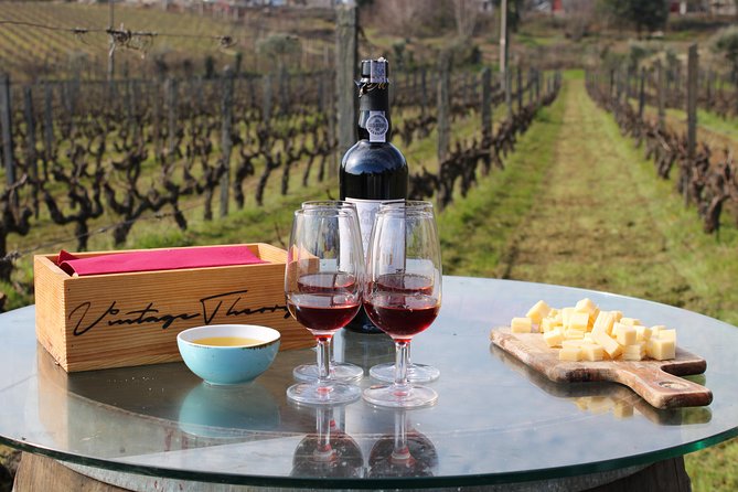 Private Douro Valley Wine Tour: 2 Wine Estates, Lunch and Cruise - The Pinhão cruise from the water
