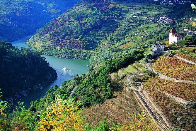 Private Douro Valley Wine Tour: 2 Wine Estates, Lunch and Cruise - The second estate and the final tasting