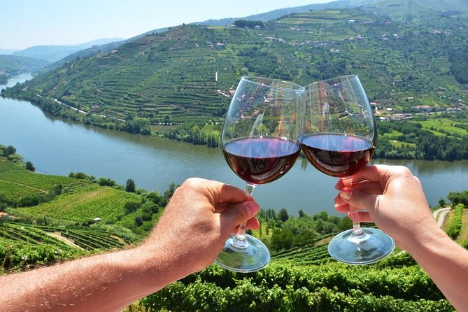 Private Douro Valley Wine Tour: 2 Wine Estates, Lunch and Cruise - What private really means here