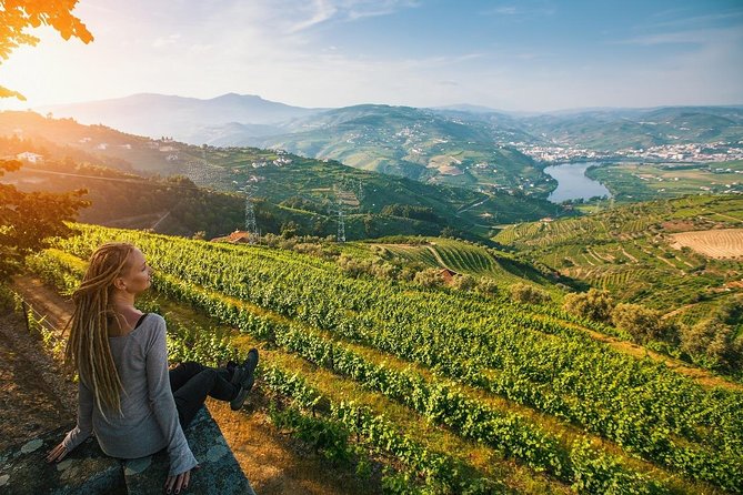 Private Douro Valley Wine Tour: 2 Wine Estates, Lunch and Cruise - First winery, lunch, and the best meal of the day