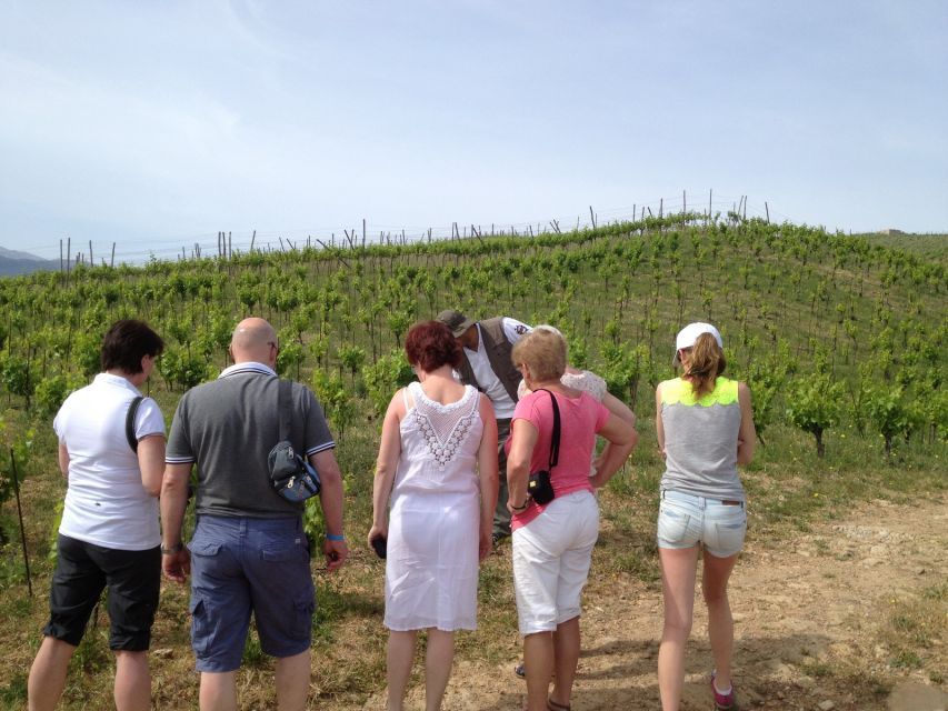 Private Exclusive Manousakis Winery and Vineyard Tour - The route back through the countryside