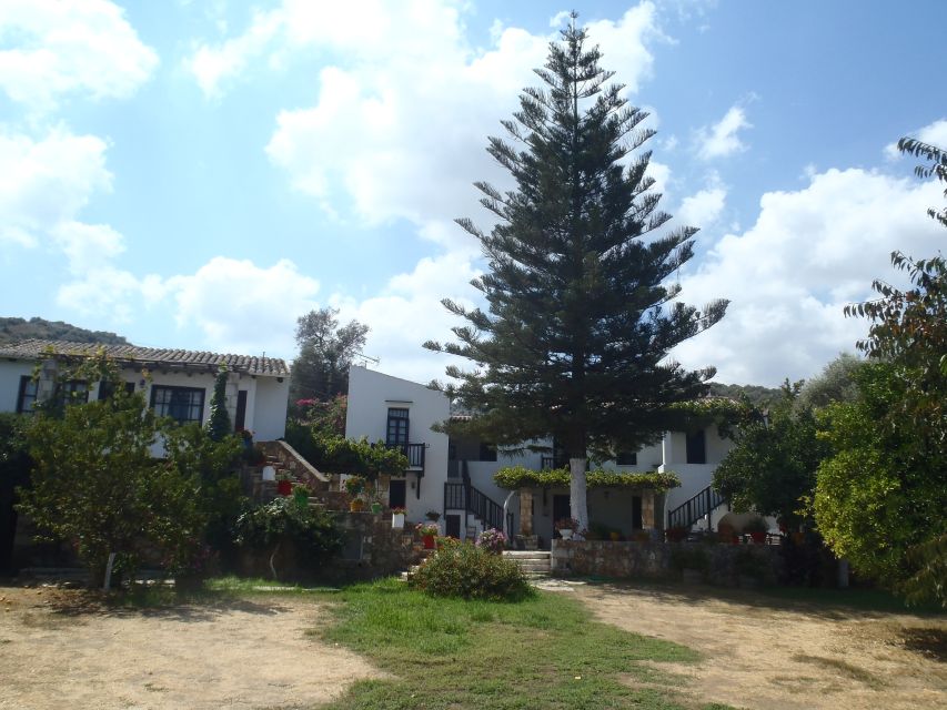Private Exclusive Manousakis Winery and Vineyard Tour - The food, wine, and guide service