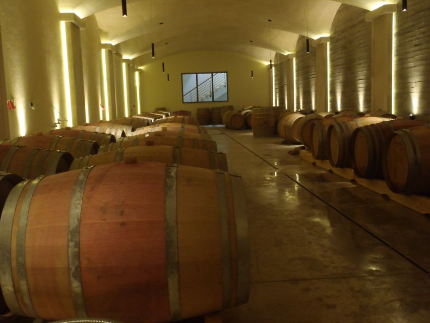 Private Exclusive Manousakis Winery and Vineyard Tour - Is the $565 private price good value?
