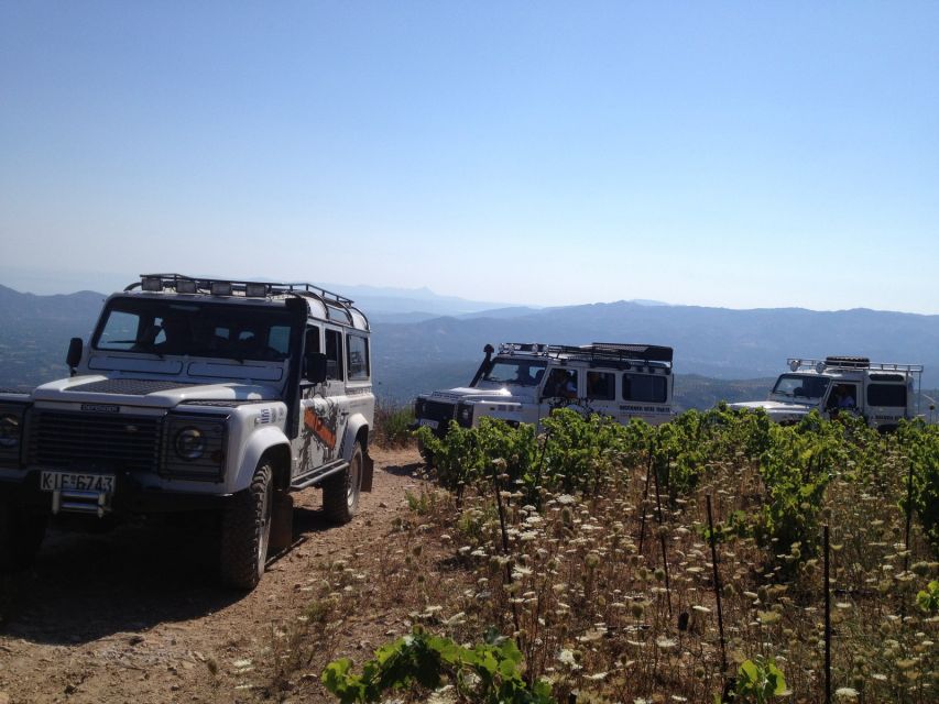 Private Exclusive Manousakis Winery and Vineyard Tour - Who will enjoy this most