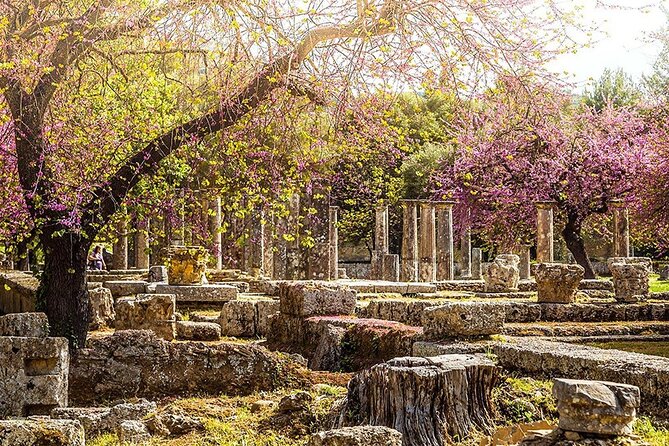 Private Excursion to Ancient Olympia - bee farm & winery - A short walk through modern Olympia