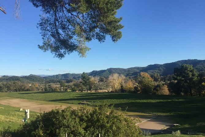 Private Excursion to Ancient Olympia - bee farm & winery - Olympia Land Winery and the taste of local wine