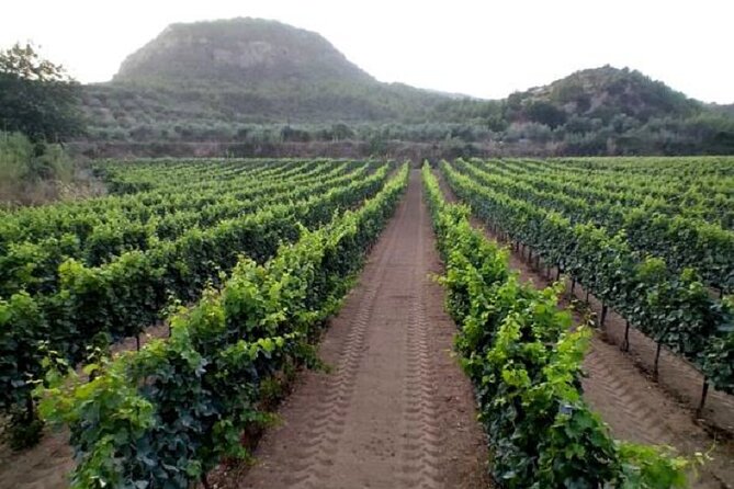 Private Excursion to Ancient Olympia - bee farm & winery - The private driver makes the day work