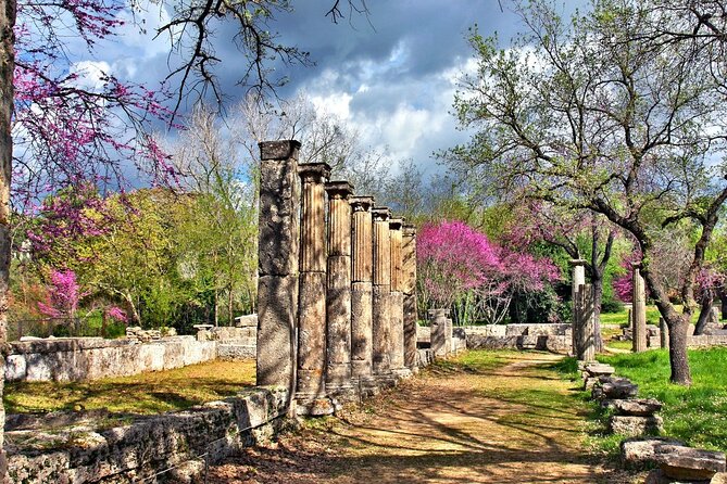 Private Excursion to Ancient Olympia - bee farm & winery - What the $144.18 price really covers