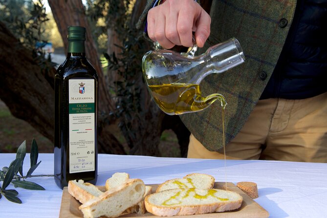 Private Food and Wine Tour in the Cellar with Tastings - Who should book this experience