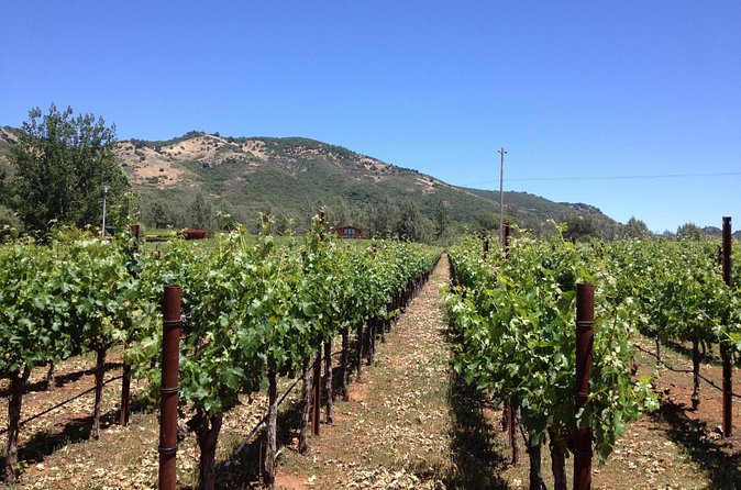 Private Fredericksburg Winery Transfer - Choosing between wineries, distilleries, and breweries