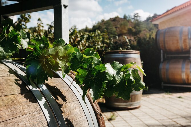 Private Full-Day Tour in Lanarca with a Visit to a Winery - Pano Lefkara gives you the longest village stop