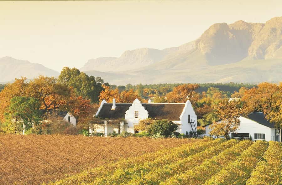 Private Full-Day Winelands Tour in Stellenbosch - A private wine day with three different personalities