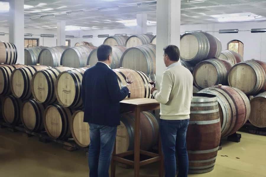 Private Full-Day Winelands Tour in Stellenbosch - Drakenstein Prison and the road to Paarl
