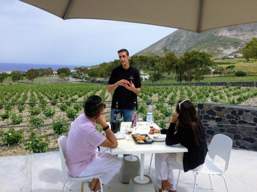 Private Group Visit to Akrotiri & 3 Wineries with Tastings - Practical limits and small details that matter
