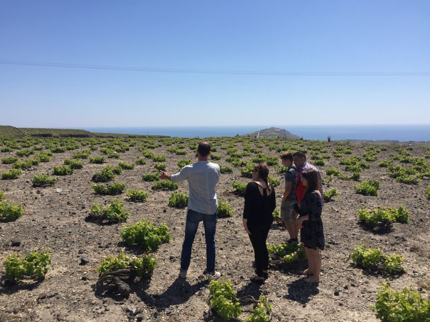 Private Group Visit to Akrotiri & 3 Wineries with Tastings - Is $294 per person good value?